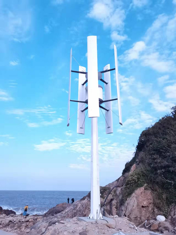 垂直軸項(xiàng)目案例